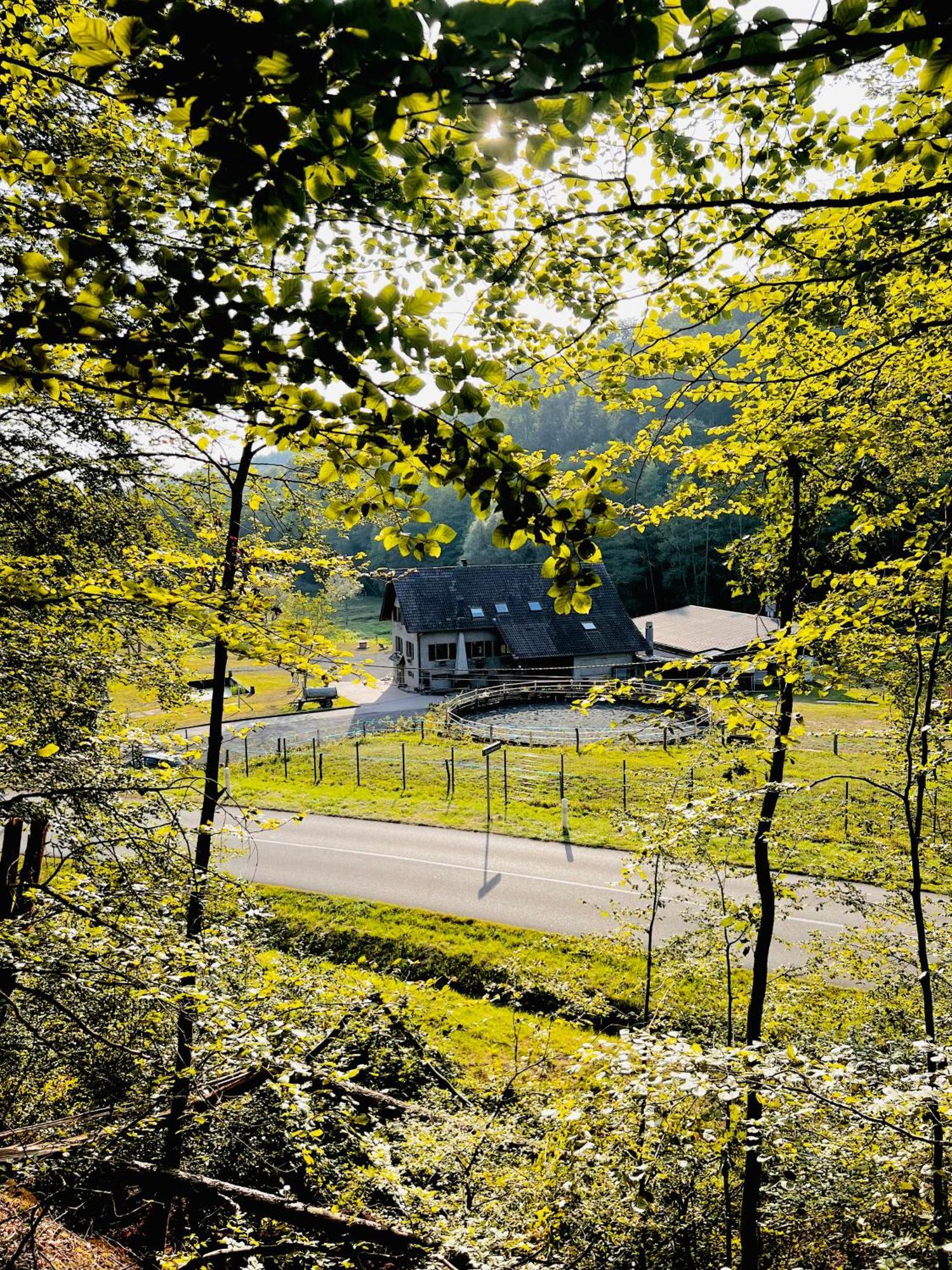 Maison D'Hotes En Pleine Nature Avec Chevaux Soucht Exterior foto